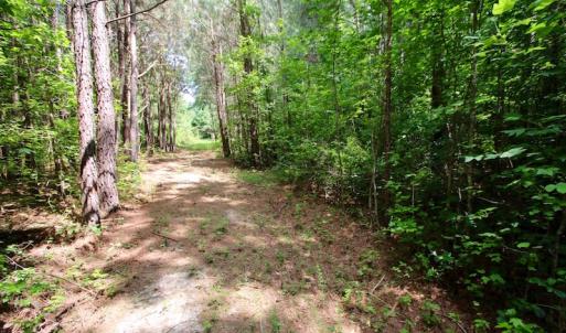 Photo of UNDER CONTRACT!  24.5 Acres of Hunting and Timber Land for Sale in Nash County NC!