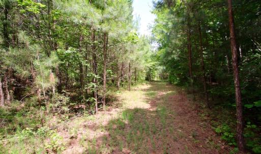 Photo of UNDER CONTRACT!  24.5 Acres of Hunting and Timber Land for Sale in Nash County NC!