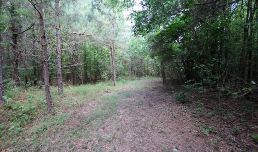 Photo of UNDER CONTRACT!  24.5 Acres of Hunting and Timber Land for Sale in Nash County NC!