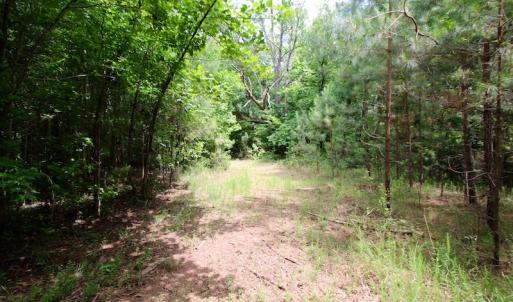 Photo of UNDER CONTRACT!  24.5 Acres of Hunting and Timber Land for Sale in Nash County NC!