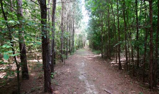 Photo of UNDER CONTRACT!  24.5 Acres of Hunting and Timber Land for Sale in Nash County NC!