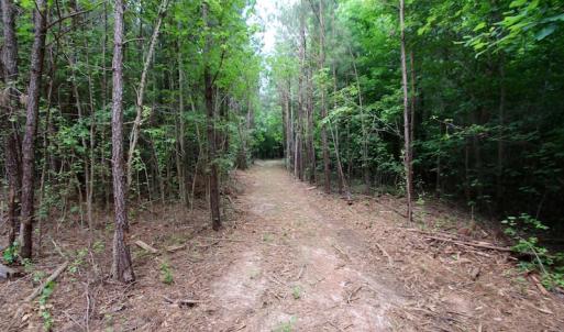 Photo of UNDER CONTRACT!  24.5 Acres of Hunting and Timber Land for Sale in Nash County NC!