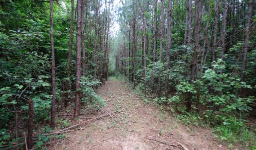 Photo of UNDER CONTRACT!  24.5 Acres of Hunting and Timber Land for Sale in Nash County NC!