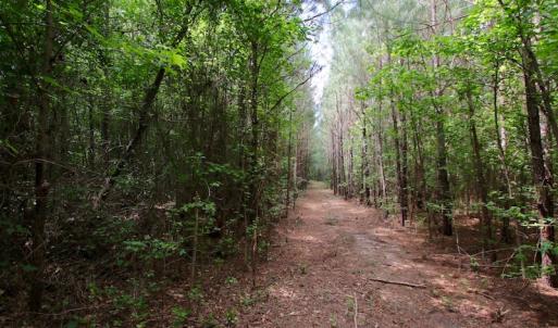 Photo of UNDER CONTRACT!  24.5 Acres of Hunting and Timber Land for Sale in Nash County NC!