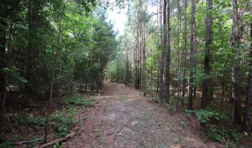 Photo of UNDER CONTRACT!  24.5 Acres of Hunting and Timber Land for Sale in Nash County NC!