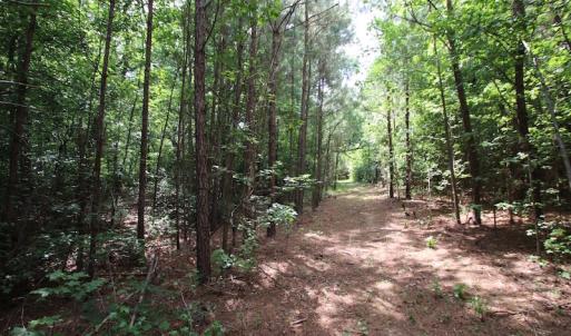 Photo of UNDER CONTRACT!  24.5 Acres of Hunting and Timber Land for Sale in Nash County NC!