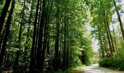 Photo of SOLD!  6.45 Acres of Investment Residential Land For Sale in Orange County NC!