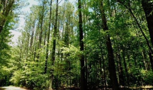 Photo of SOLD!  6.45 Acres of Investment Residential Land For Sale in Orange County NC!