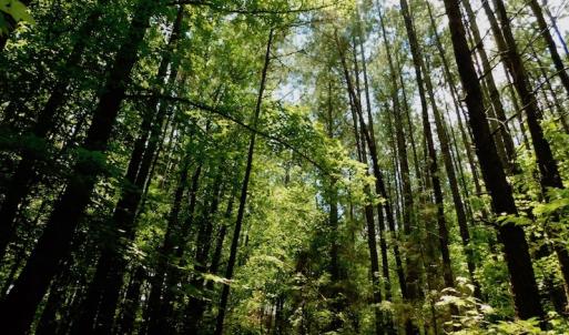 Photo of SOLD!  6.45 Acres of Investment Residential Land For Sale in Orange County NC!