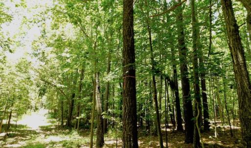 Photo of SOLD!  6.45 Acres of Investment Residential Land For Sale in Orange County NC!