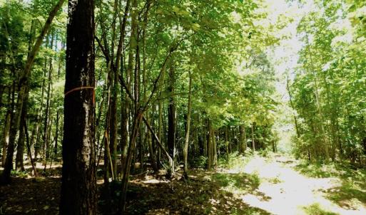 Photo of SOLD!  6.45 Acres of Investment Residential Land For Sale in Orange County NC!