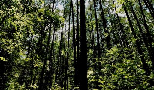 Photo of SOLD!  6.45 Acres of Investment Residential Land For Sale in Orange County NC!