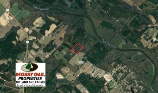 Photo of UNDER CONTRACT!  25 Acres of Land for Sale in Bladen County!