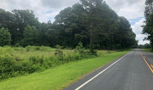 Photo of UNDER CONTRACT!  25 Acres of Land for Sale in Bladen County!