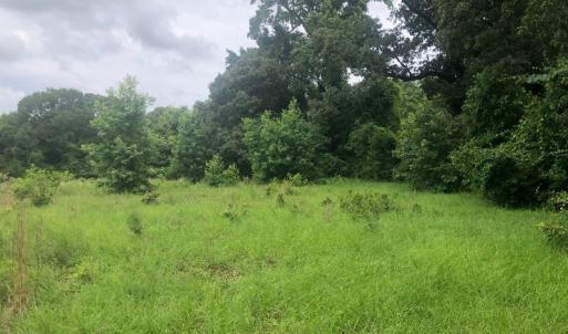 Photo of UNDER CONTRACT!  25 Acres of Land for Sale in Bladen County!