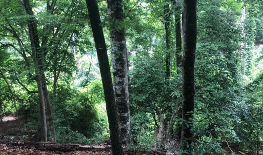 Photo of UNDER CONTRACT!  25 Acres of Land for Sale in Bladen County!