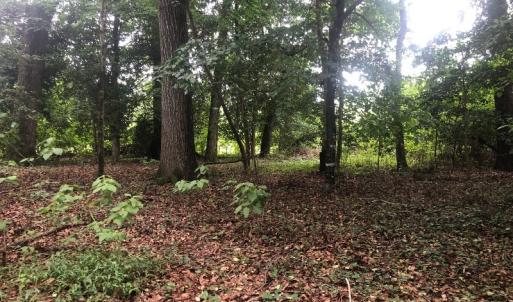 Photo of UNDER CONTRACT!  25 Acres of Land for Sale in Bladen County!