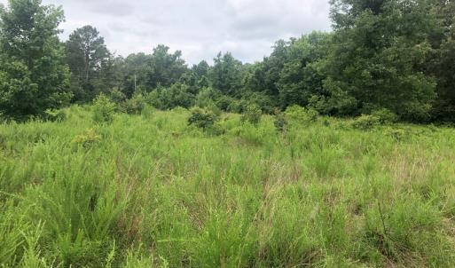 Photo of UNDER CONTRACT!  25 Acres of Land for Sale in Bladen County!