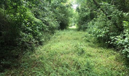 Photo of UNDER CONTRACT!  25 Acres of Land for Sale in Bladen County!