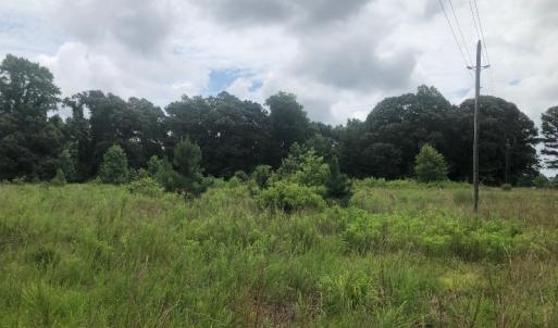 Photo of UNDER CONTRACT!  25 Acres of Land for Sale in Bladen County!