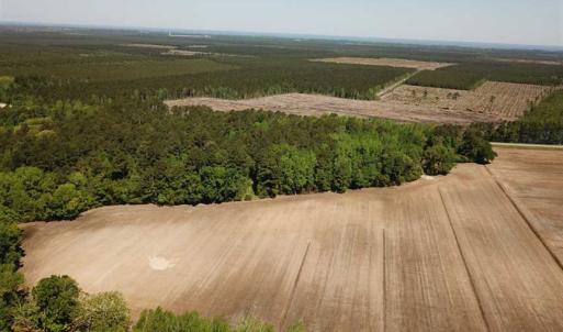 Photo of REDUCED!  83 Acres of Commercial Farm and Timber Land For Sale in Tyrrell County NC!