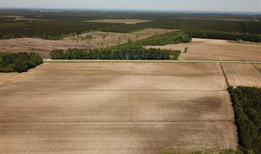 Photo of REDUCED!  83 Acres of Commercial Farm and Timber Land For Sale in Tyrrell County NC!