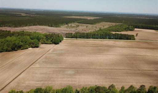 Photo of REDUCED!  83 Acres of Commercial Farm and Timber Land For Sale in Tyrrell County NC!