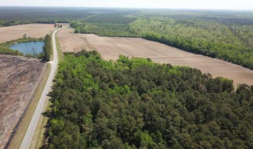 Photo of REDUCED!  83 Acres of Commercial Farm and Timber Land For Sale in Tyrrell County NC!