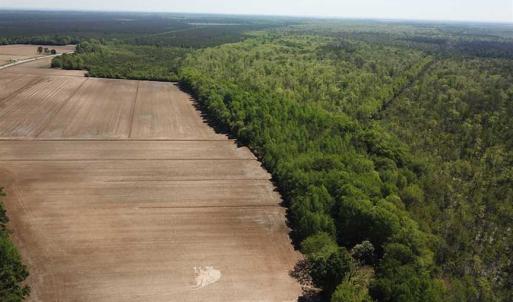 Photo of REDUCED!  83 Acres of Commercial Farm and Timber Land For Sale in Tyrrell County NC!