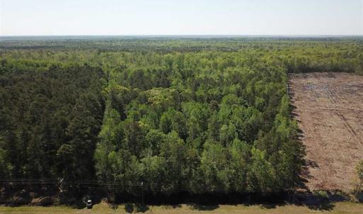 Photo of REDUCED!  83 Acres of Commercial Farm and Timber Land For Sale in Tyrrell County NC!