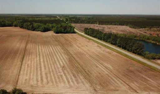 Photo of REDUCED!  83 Acres of Commercial Farm and Timber Land For Sale in Tyrrell County NC!