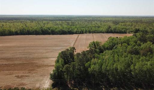 Photo of REDUCED!  83 Acres of Commercial Farm and Timber Land For Sale in Tyrrell County NC!
