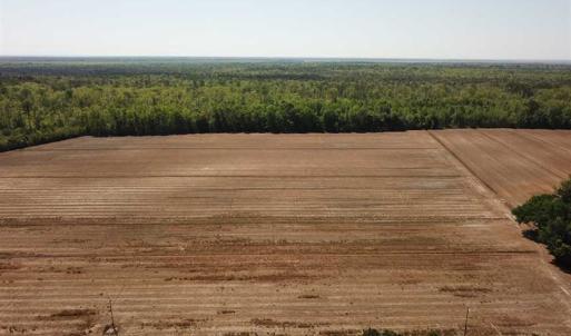 Photo of REDUCED!  83 Acres of Commercial Farm and Timber Land For Sale in Tyrrell County NC!