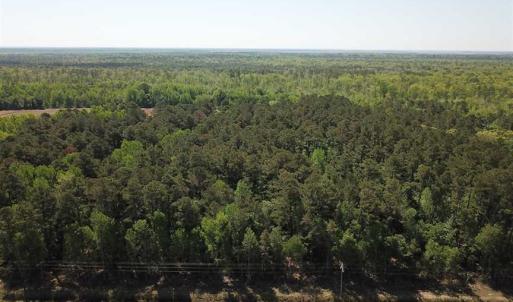 Photo of REDUCED!  83 Acres of Commercial Farm and Timber Land For Sale in Tyrrell County NC!