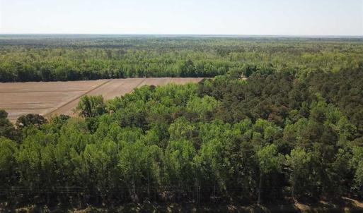 Photo of REDUCED!  83 Acres of Commercial Farm and Timber Land For Sale in Tyrrell County NC!