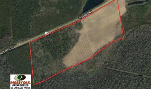 Photo of REDUCED!  83 Acres of Commercial Farm and Timber Land For Sale in Tyrrell County NC!