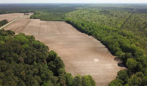 Photo of REDUCED!  83 Acres of Commercial Farm and Timber Land For Sale in Tyrrell County NC!
