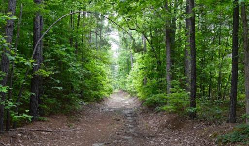 Photo of UNDER CONTRACT!  42.5 Acres of Hunting Land with Lodge For Sale in Brunswick County VA!