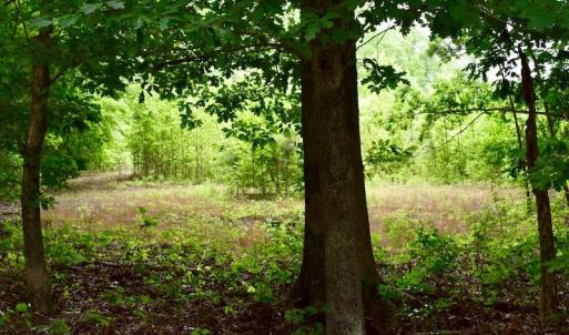 Photo of UNDER CONTRACT!  42.5 Acres of Hunting Land with Lodge For Sale in Brunswick County VA!