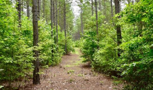 Photo of UNDER CONTRACT!  42.5 Acres of Hunting Land with Lodge For Sale in Brunswick County VA!
