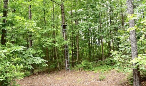Photo of UNDER CONTRACT!  42.5 Acres of Hunting Land with Lodge For Sale in Brunswick County VA!