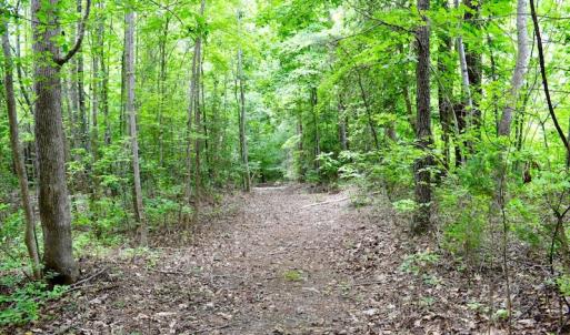 Photo of UNDER CONTRACT!  42.5 Acres of Hunting Land with Lodge For Sale in Brunswick County VA!