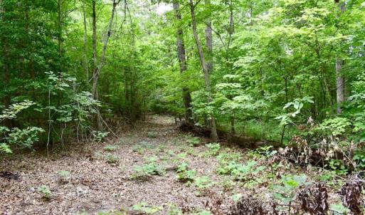 Photo of UNDER CONTRACT!  42.5 Acres of Hunting Land with Lodge For Sale in Brunswick County VA!