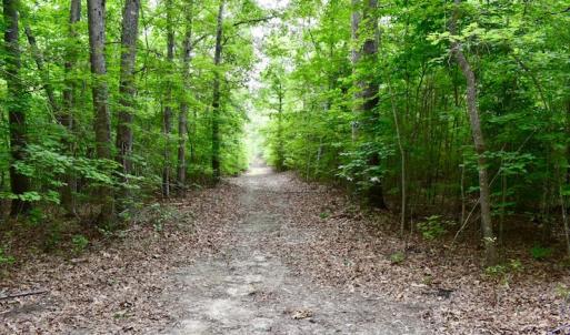 Photo of UNDER CONTRACT!  42.5 Acres of Hunting Land with Lodge For Sale in Brunswick County VA!