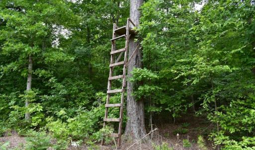 Photo of UNDER CONTRACT!  42.5 Acres of Hunting Land with Lodge For Sale in Brunswick County VA!