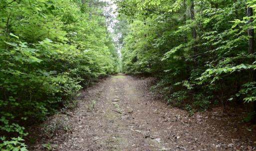 Photo of UNDER CONTRACT!  42.5 Acres of Hunting Land with Lodge For Sale in Brunswick County VA!