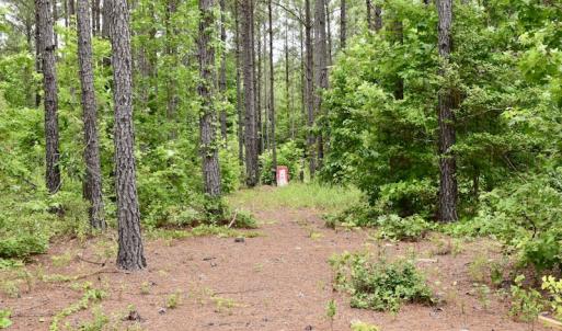 Photo of UNDER CONTRACT!  42.5 Acres of Hunting Land with Lodge For Sale in Brunswick County VA!