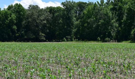 Photo of UNDER CONTRACT!  55 Acres of Waterfront Multipurpose Land For Sale in James City County VA!