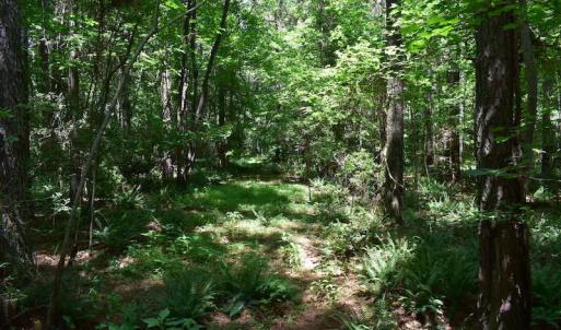 Photo of UNDER CONTRACT!  55 Acres of Waterfront Multipurpose Land For Sale in James City County VA!