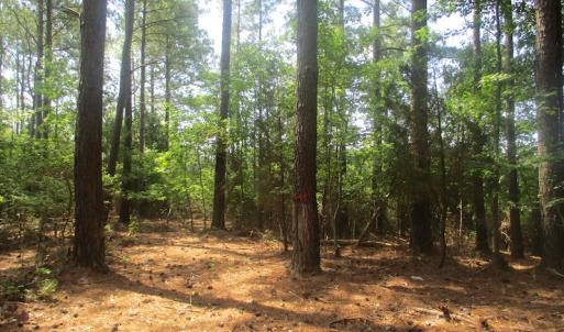 Photo of UNDER CONTRACT!  55 Acres of Waterfront Multipurpose Land For Sale in James City County VA!